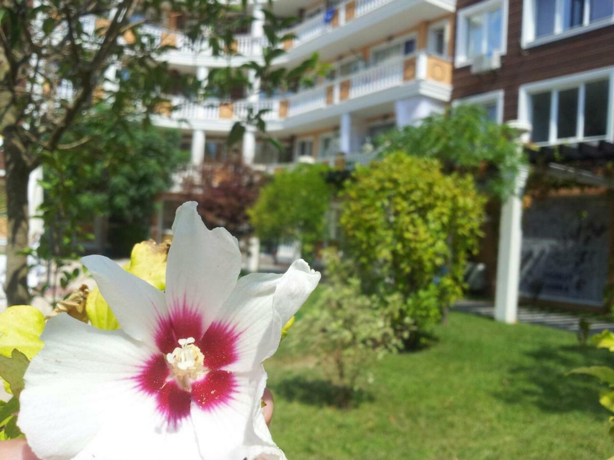 Villa Aria Complex Sunny Beach Exterior photo